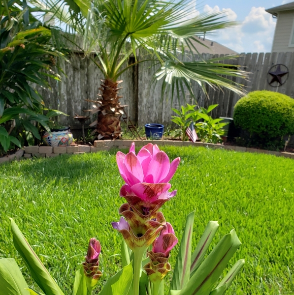 Meet your Posher, Stacey - Picture 1 of 1